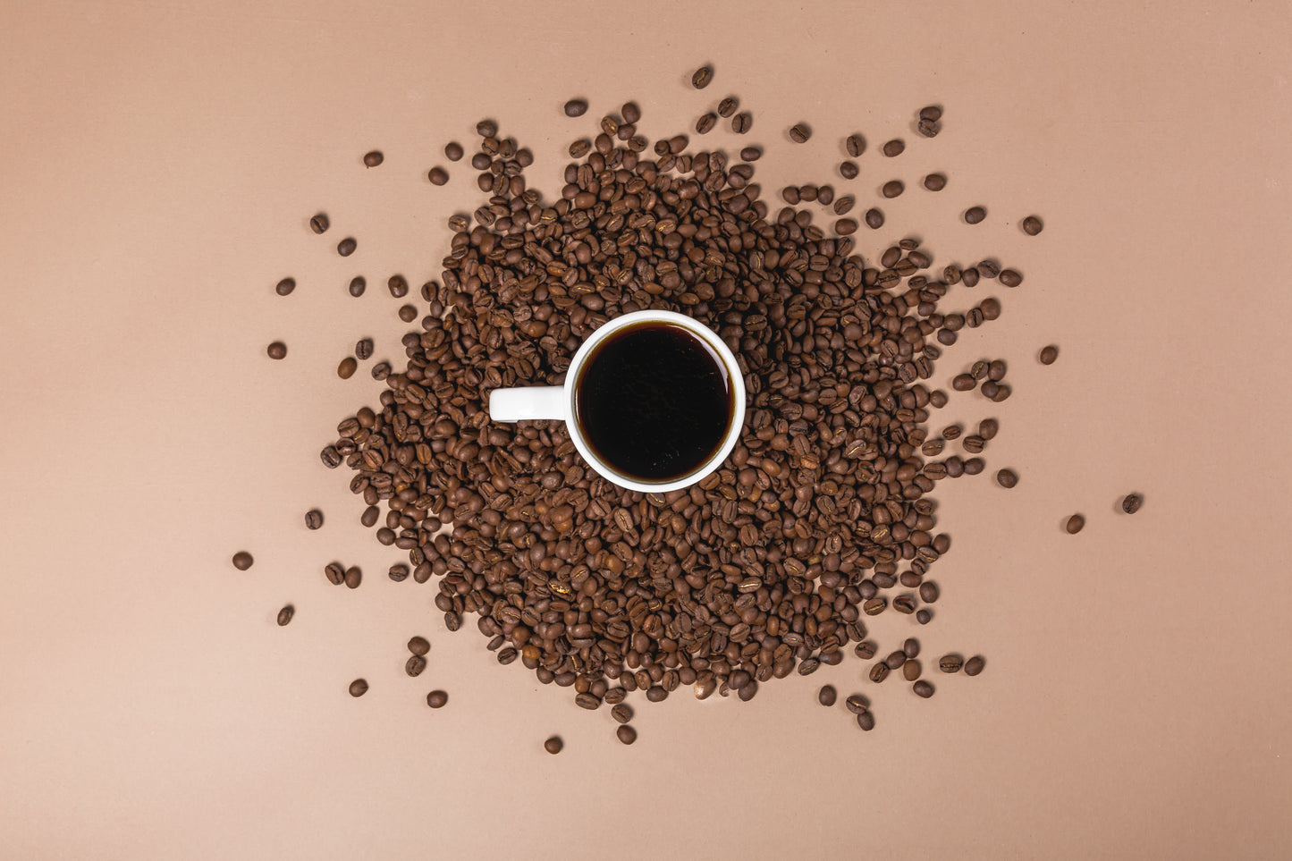 Café de spécialité biologique « Yirgacheffe » d'Éthiopie, Yirgacheffe Chelchele, par Brew Fusion