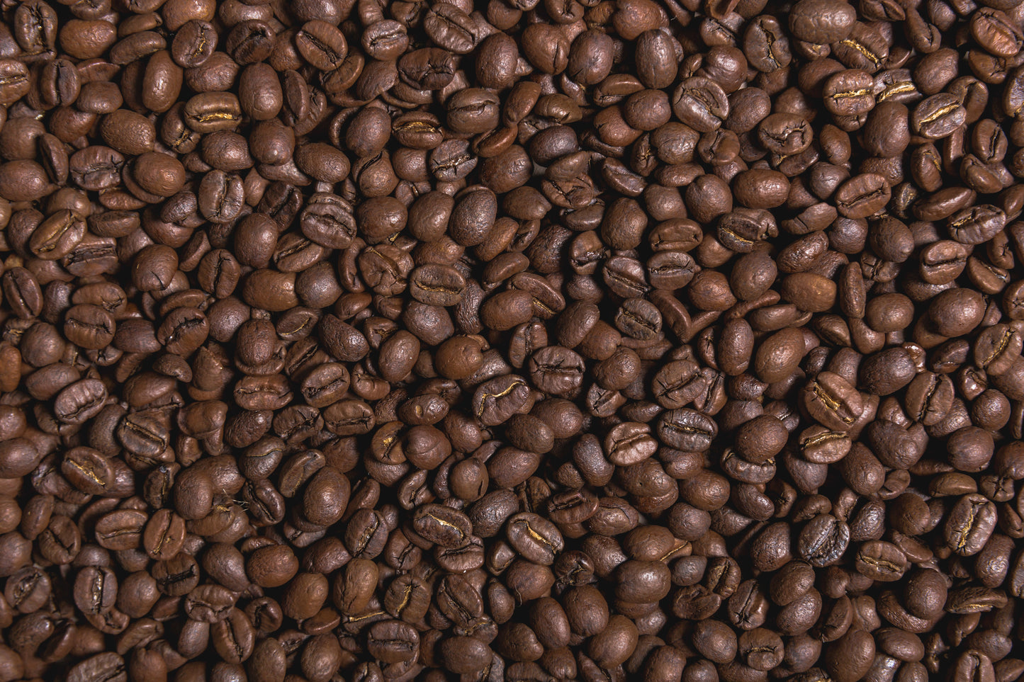 BREWFUSIONCOFFEE.COM Gift 💝 Card